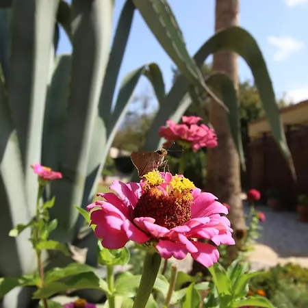 Kaya Vadi Villas Kayaköy