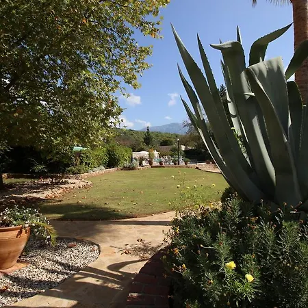 Kaya Vadi Villas * Kayaköy